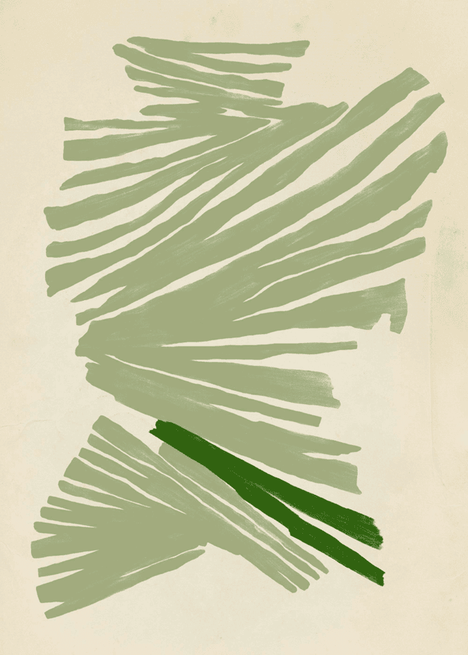 plant 001